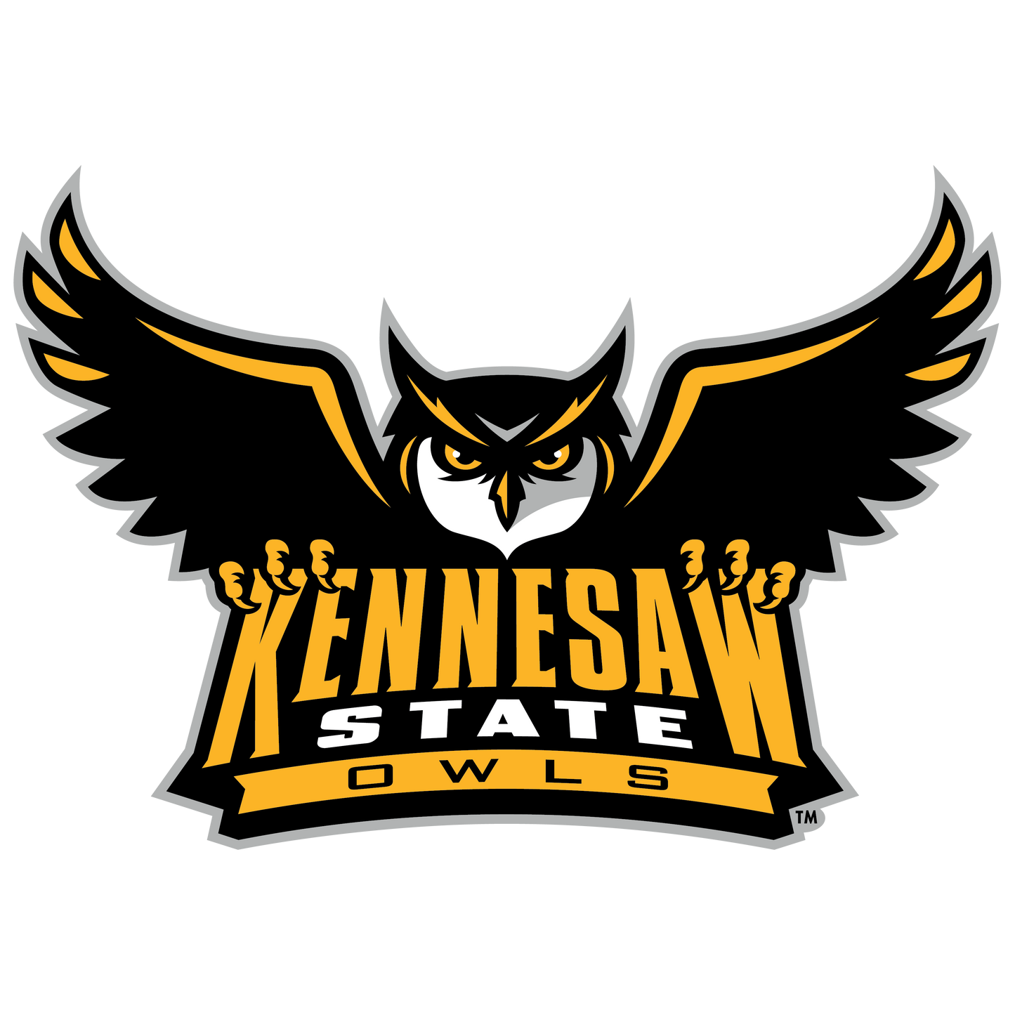 Kennesaw State Owls Shaker Pint Glass