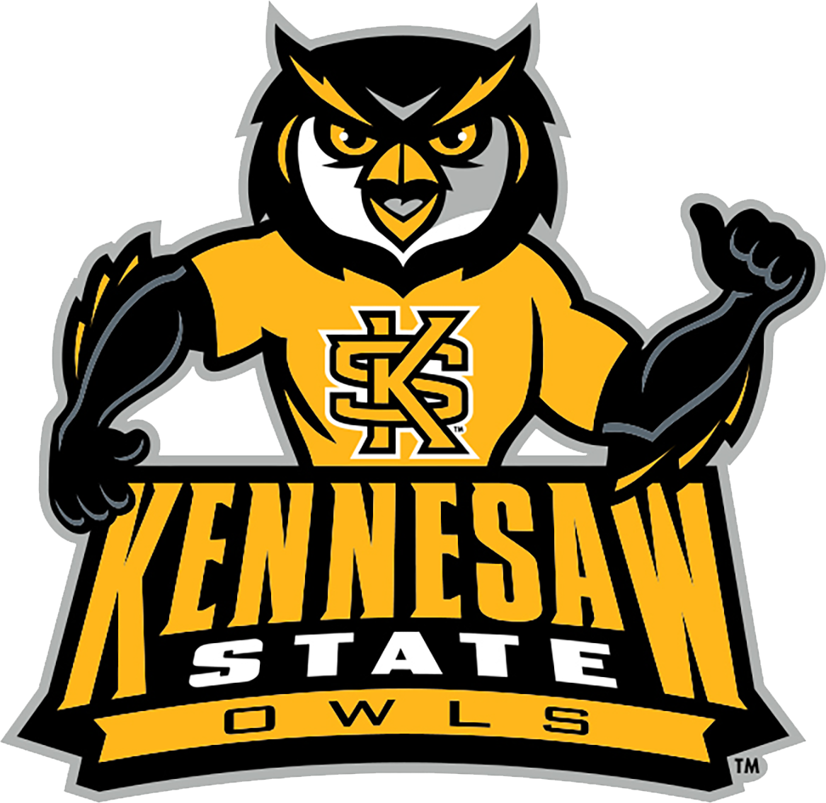 Kennesaw State Owls Unisex T-Shirt